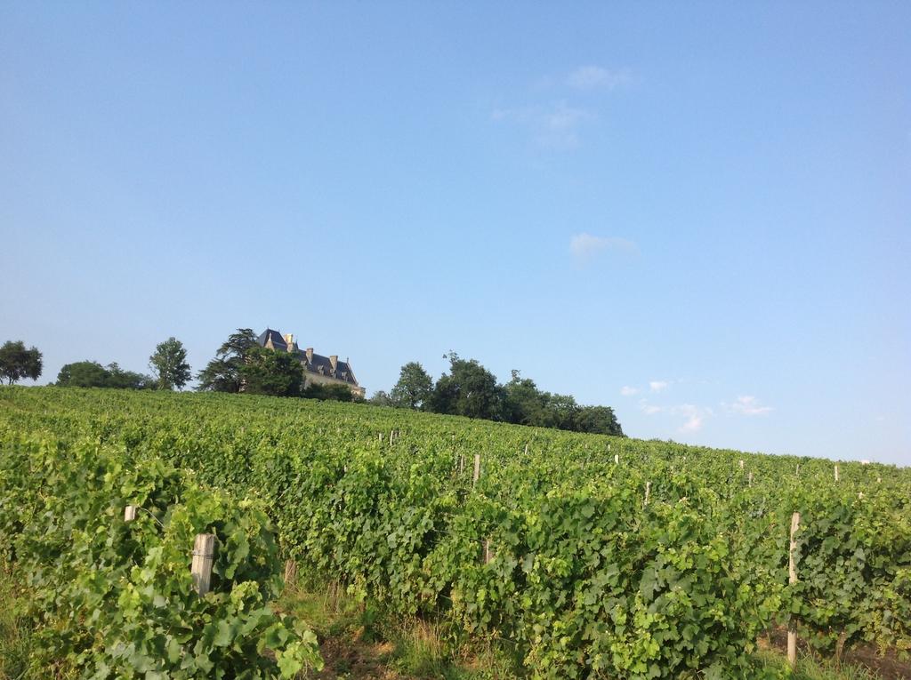 卡迪拉克Chateau Fauchey住宿加早餐旅馆 外观 照片